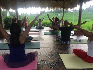5 Day Balinese Culture, Meditation, and Yoga Retreat in Bali, Indonesia