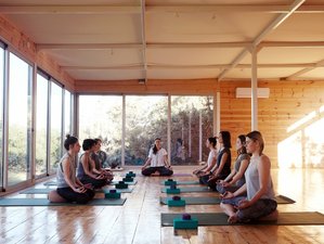 alignment-based hatha yoga book