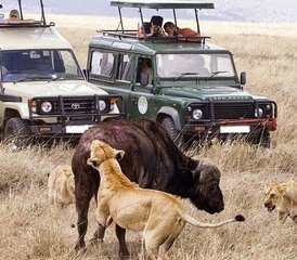 3 Day Spectacular Masai Mara Safari Flying Package in Kenya - Photo 2