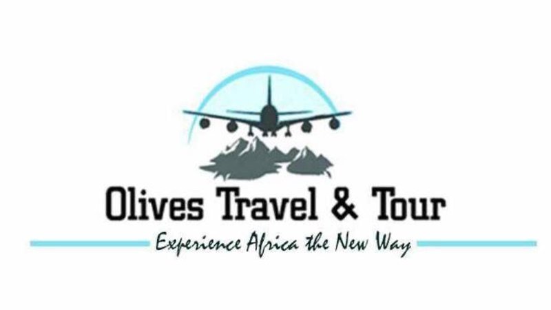 10 Day December In Ghana: Afro Future Festival Alongside Safari