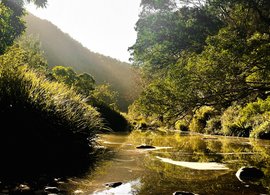Wilderness Retreats & Trips