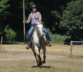08 Day Natural Western Horse Riding Holiday in Castell'Azzara, Tuscany - Photo 1