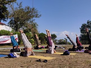12 Day Pilgrimage World Tantra Yoga Festival in Nepal