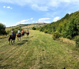 5 Tage Wildnis und Stille Reiturlaub in Rumänien - Photo 3