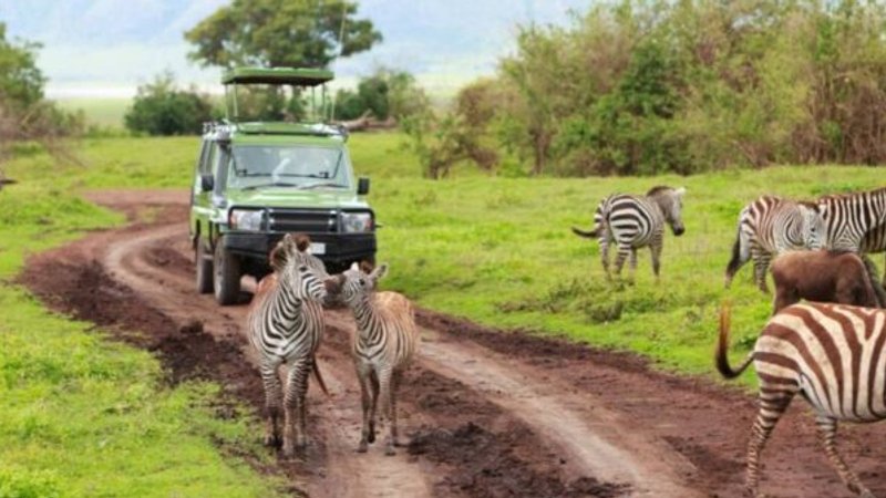 3 Day Masai Mara Safari Private Safari