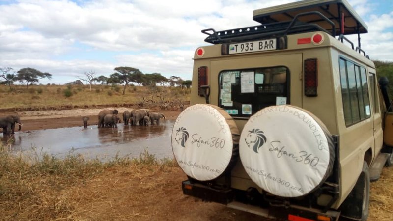 10 Day Spectacular Safari in Tanzania's Best National Parks