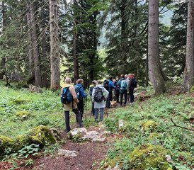 3 Tage Wander- und Yoga Retreat mit Wellness und Kulinarik auf der Luxusalpe im Allgäu, Deutschland - Photo 5