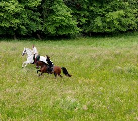 05 Tage Aktiv-Reiturlaub für alle Niveaus und Premium-Landaufenthalt in Dolenjska, Slowenien - Photo 1