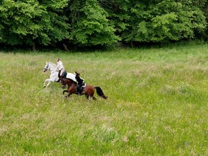 5 Day All-Level Active Riding Vacation and Premium Countryside Stay in Dolenjska, Slovenia