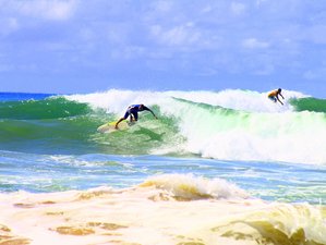 7 Day Yoga and Surf Camp in Salvador, Bahia