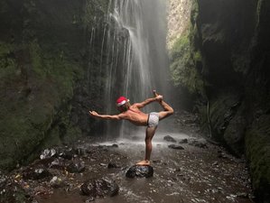 4 días de yoga y ayurveda en un retiro holístico en La Palma, Islas Canarias
