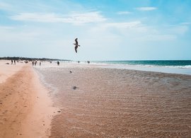 Chiclana de la Frontera Retraites en Reizen
