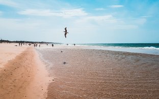 Chiclana de la Frontera Retraites en Reizen