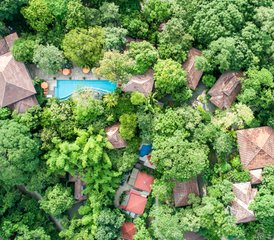 48 jours en retraite ayurvédique : retrouvez votre mode de vie à Nosara, Costa Rica - Photo 1