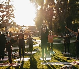 58 Day Yoga Retreat in Rishikesh, India: A Week to Heal, Transform, and Reconnect - Photo 1