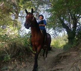 5 Day Wild Riding Holiday in Rila National Park, Bulgaria - Photo 5
