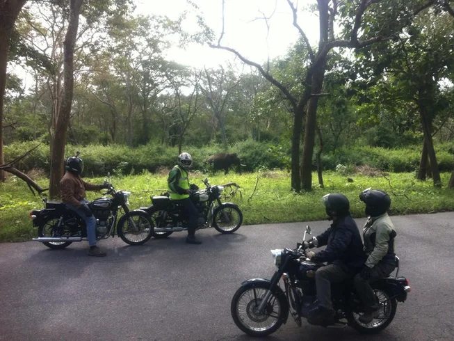 6 Day Exploring the Western Ghats of India Guided Motorcycle Tour photo 9