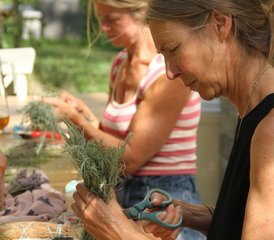 4 Day Joyful Rejuvenation Wellness Retreat in British Colombia, Canada - Photo 3