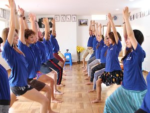 60 Tage 500-Stunden Ashtanga Hatha Yogalehrer Ausbildung in Karnataka