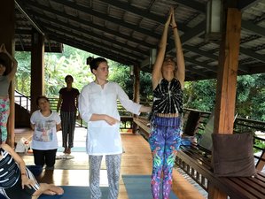 22 Day 200-Hour Hatha and Ashatanga Yoga Teacher Training in Dharamshala