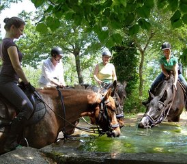 4-daagse geweldige paardrijvakantie in Toscane, Montieri, Italië - Photo 2