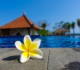 915 Day Intensive Surf and Stay Camp in Jembrana, Bali, Indonesia - Photo 1