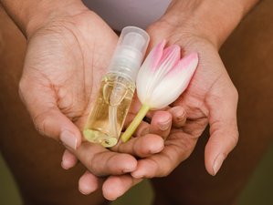 8 Day 65-Hour Yin Yoga and Aromatherapy Teacher Training - AromaYin in Mandrem, Goa, India