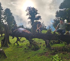 7 días de retiro de yoga y meditación en India con experiencia cultural tradicional del Himalaya y senderismo - Photo 2