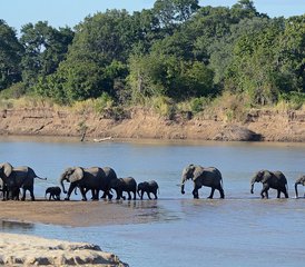 15-Daagse Safari van Liuwa Plains naar South Luangwa National Parks, Zambia - Photo 2