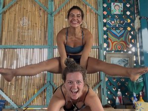 19 Tage 200-Stunden Intensive Yogalehrer Ausbildung auf Koh Samui