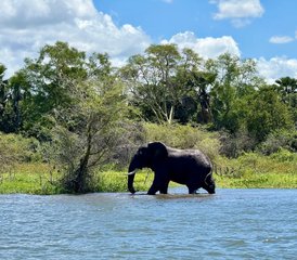 15 Tage Mini Zentral- bis Süd-Safari in Malawi - Photo 1