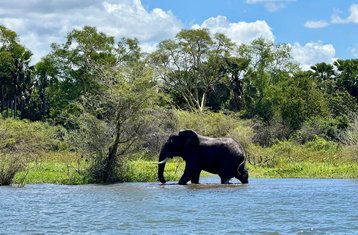 5 días de mini safari del centro al sur de Malawi
