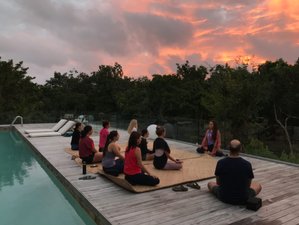 18 Day 200-Hour Hatha and Vinyasa Yoga Teacher Training in Chemuyil