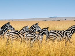 Tansania Retreats und Reisen