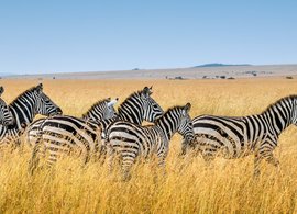 Tansania Retreats und Reisen