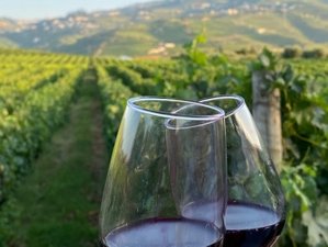 6 Day Taste the Douro Private Tour: A Journey Through Portugal’s Wine Region