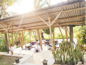 7 Day Bali Spiritual, Healing, and Cultural Immersion Tour in Bali, Indonesia