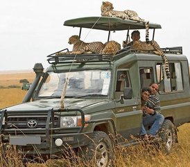 8-Daagse Gnoemigratie Safari Avonturen in Masai Mara, Kenia - Photo 3