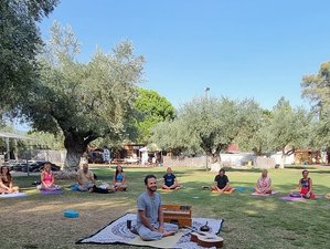 Self-Paced 30-Hour Online Bhakti Yoga Teacher Training with Kirtan and Indian Harmonium