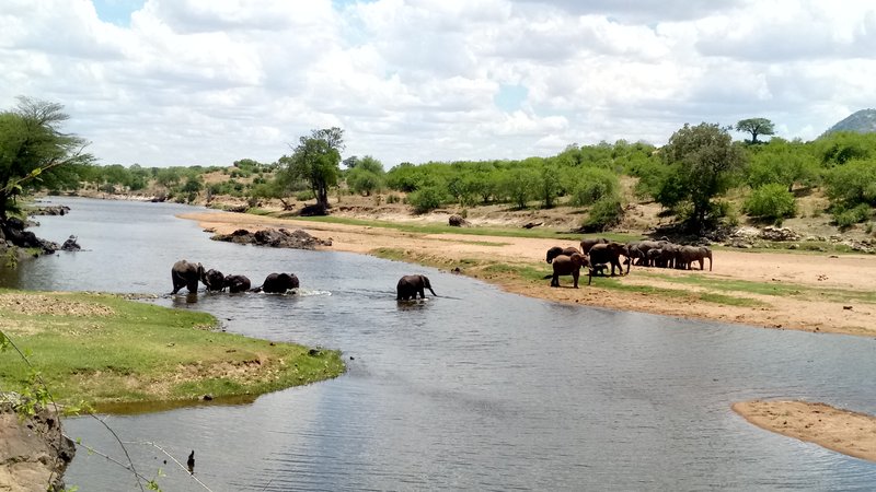 6 Day Safari in Udzungwa, Ruaha, and Mikumi National Park in Tanzania