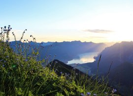 Berner Alpen Retraites en Reizen