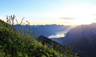 Berner Oberland Retreats und Reisen