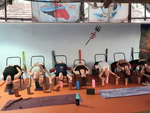 28 Tage 200-Stunden Hatha und Vinyasa Yogalehrer Ausbildung mit Vier Biologischen Ayurvedischen Massagen in Kerala