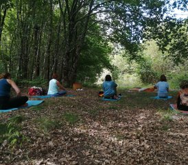 5-daagse Yoga, ademhaling en meditatiestage in Martillac, vlak bij Bordeaux, Frankrijk - Photo 3