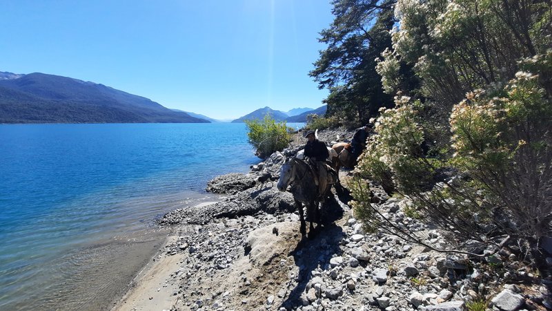 6 Day Intermediate to Advanced Horse Riding Holiday in Northern Patagonian Andes, Argentina
