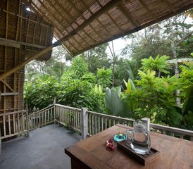 7 Day Inner Clarity Private Retreat in Ubud, Bali, Indonesia - Photo 5