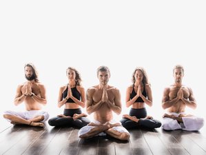 22 Day 200-Hour Foundation Yoga Teacher Training in Koh Samui, Thailand