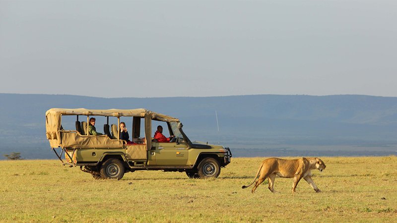 3 Day Maasai Mara Group Joining Safari in Kenya