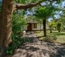 5-Tage Klassische Big-Five-Safari im Balule Nature Reserve und Kruger Nationalpark, Südafrika - Photo 5