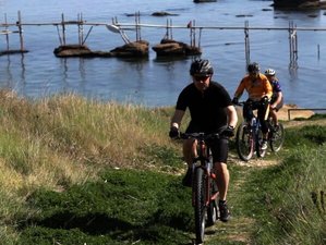 7 Day E-Bike Cycling Experience, Cultural and Culinary Vacation in Abruzzo, Vasto